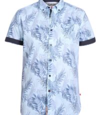D555 grote maat korte mouw Hawaii overhemd lichtblauw
