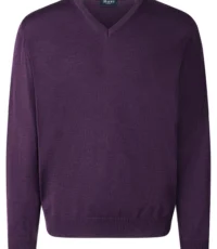 Maerz grote maat v-hals trui paars